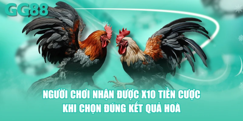 Người chơi nhận được x10 tiền cược khi chọn đúng kết quả Hoà