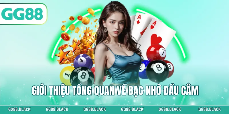 Giới thiệu tổng quan về bạc nhớ đầu câm